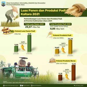 Luas-Panen-dan-Produksi-Padi-Kaltara-copy-1024x1024