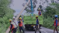 IMG-20240616-WA0006