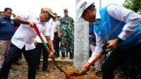 PLN Terang
